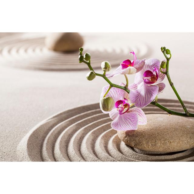 Orchids Flower by Studio Grand Web - Wrapped Canvas Print 17 Stories Size: 81cm H x 122cm W on Productcaster.