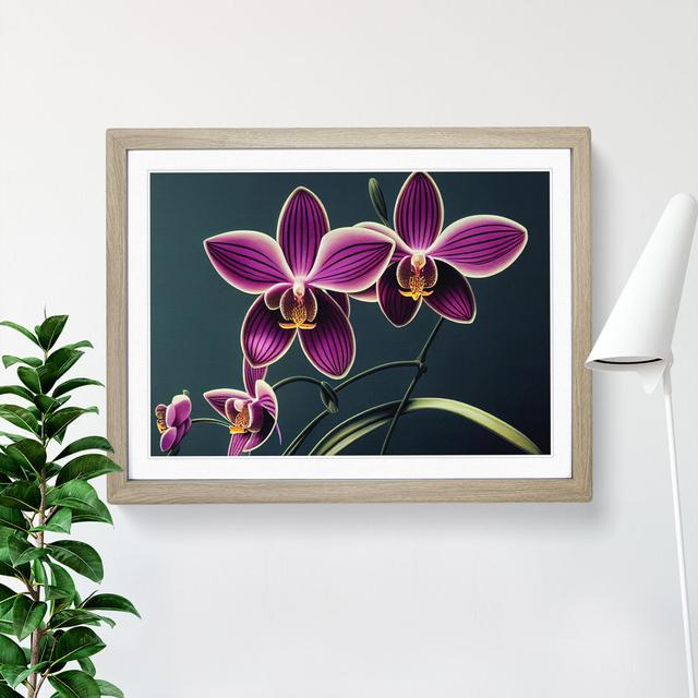 Thrilling Orchid Flowers - Single Picture Frame Print Marlow Home Co. Size: 25cm H x 34cm W x 2cm D, Frame Colour: Oak Framed on Productcaster.