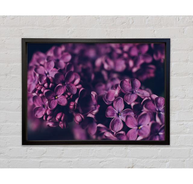 Minature Purple Flowers Framed Print Ebern Designs Size: 59.7cm H x 84.1cm W x 3.3cm D on Productcaster.