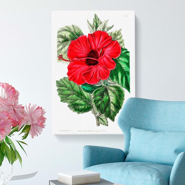 Chinese Rose - Wrapped Canvas Painting Print East Urban Home Size: 50cm H x 35cm W x 3cm D on Productcaster.