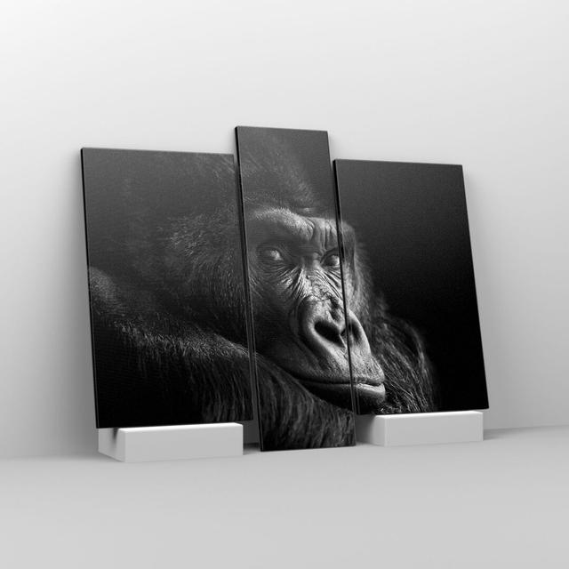 Monkey Gorilla Portrait - 3 Piece Wrapped Canvas Photograph Ebern Designs Size: 80cm H x 95cm W on Productcaster.