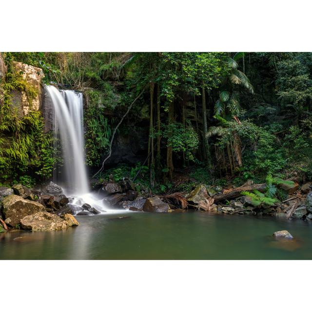 Curtis Falls - Tropical Rainforest Waterfall Australia by Thurtell - Print Alpen Home Size: 81cm H x 122cm W on Productcaster.