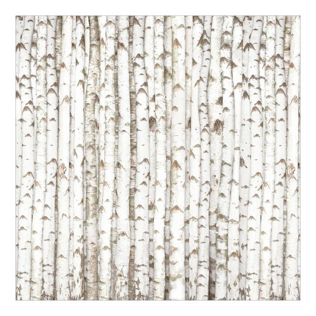 Birch Wall Semi-Gloss Wallpaper Roll East Urban Home Size: 1.92m x 192cm on Productcaster.