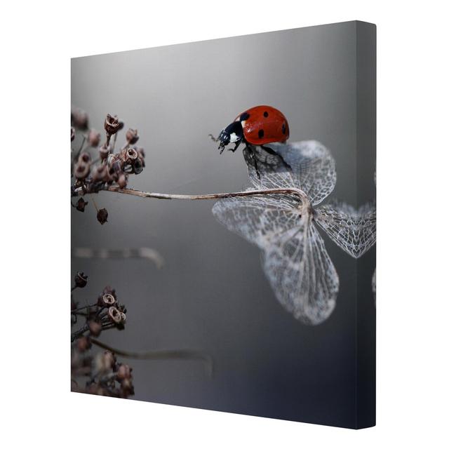 'Ladybird on a Hydrangea' - Wrapped Canvas Graphic Art Print East Urban Home Size: 180cm H x 120cm W x 2cm D on Productcaster.