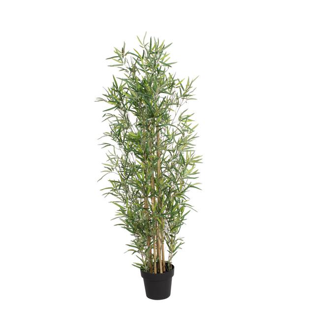 120cm Faux Bamboo Tree The Seasonal Aisle on Productcaster.