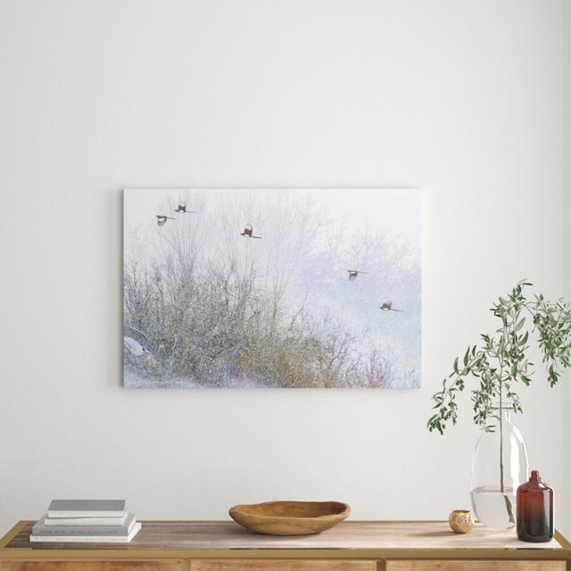 'Grey Trees Magpies' by Chris Vest Graphic Art on Wrapped Canvas East Urban Home Size: 61cm H x 91cm W x 3.81cm D on Productcaster.