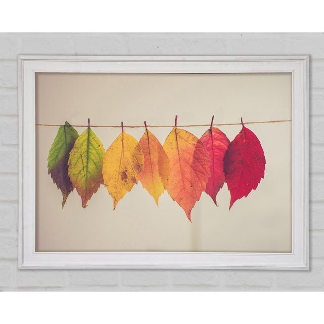 Summer To Spring Leaves - Single Picture Frame Art Prints Ebern Designs Size: 29.7cm H x 42cm W x 1.5cm D, Format: White Framed Paper on Productcaster.