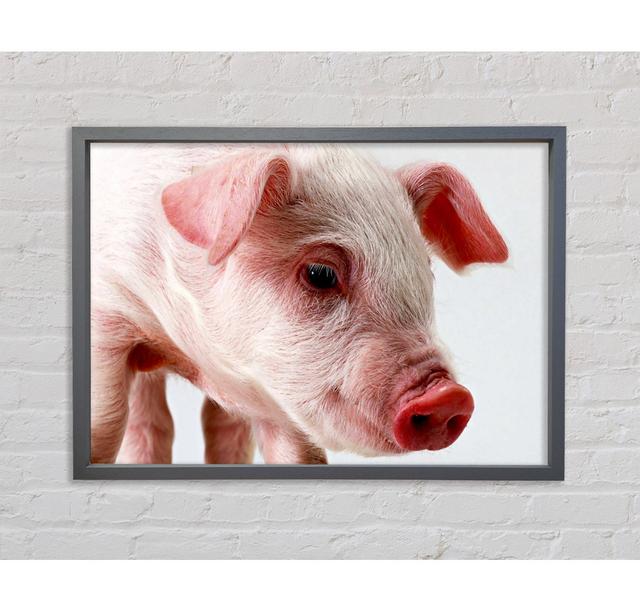 Pink Pig Framed Print Ebern Designs Size: 59.7cm H x 84.1cm W on Productcaster.