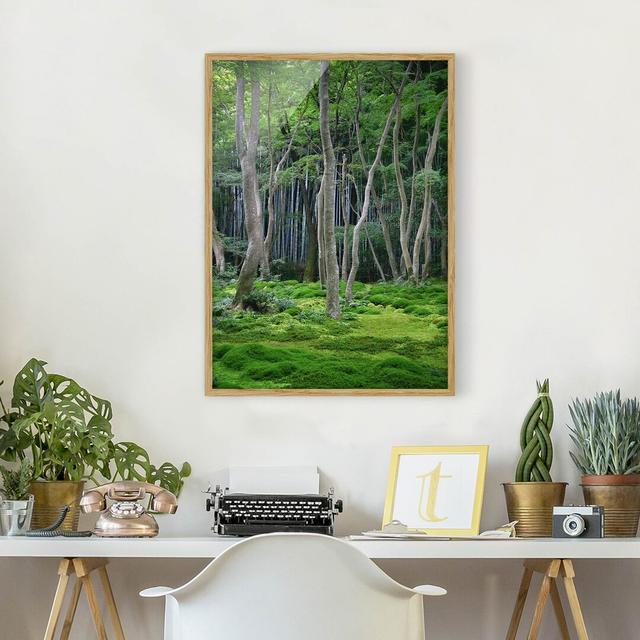 Japanese Forest - Picture Frame Graphic Art Union Rustic Frame Option: Brown Framed, Size: 70cm H x 50cm W x 2cm D on Productcaster.