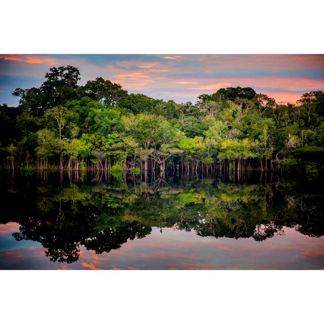 Amazon - Black River by Anna Carolina Negri - Wrapped Canvas Photograph Latitude Run Size: 30cm H x 46cm W on Productcaster.