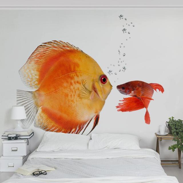 Kissing Fish 2.88m x 2.88m Textured Matte Peel & Stick Wall Mural East Urban Home on Productcaster.