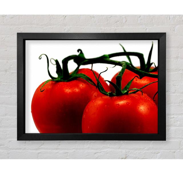 Tomato Trio - Single Picture Frame Art Prints Bright Star Size: 84.1cm H x 118.9cm W x 3.4cm D on Productcaster.