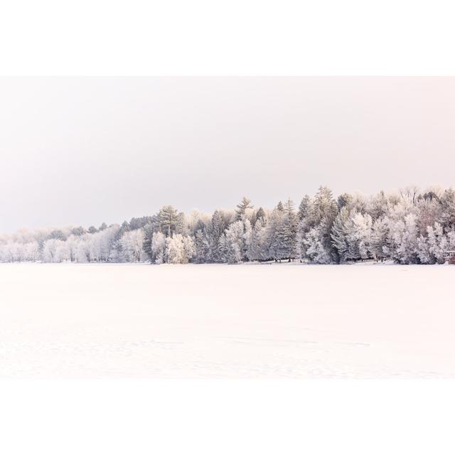 Frozen Forest - Wrapped Canvas Print Union Rustic Size: 51cm H x 76cm W x 3.8cm D on Productcaster.