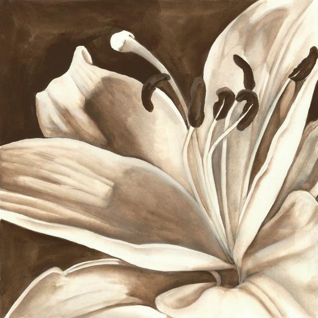 Sepia Lily I - Wrapped Canvas Art Print Rosalind Wheeler Size: 76cm H x 76cm W x 3.8cm D on Productcaster.