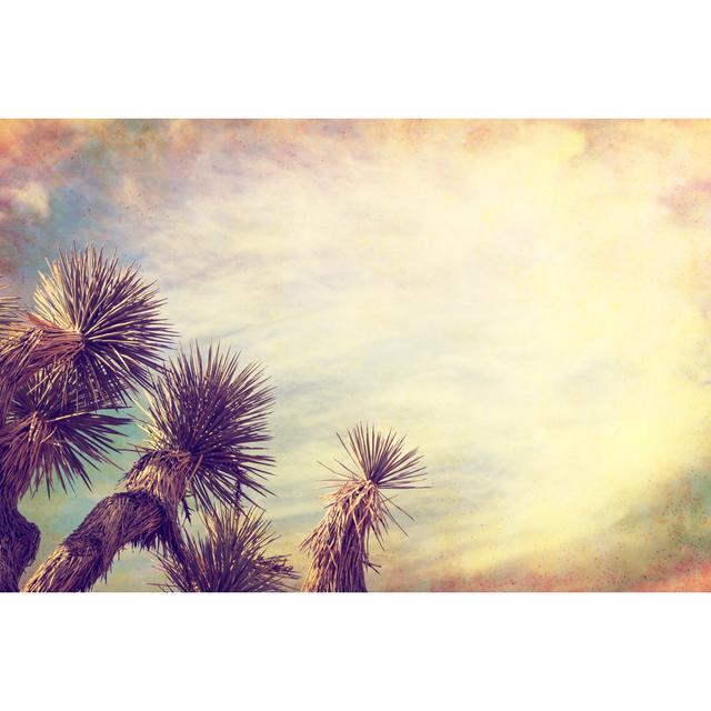 Vintage Joshua Tree - Wrapped Canvas Photograph Gracie Oaks Size: 81cm H x 122cm W on Productcaster.