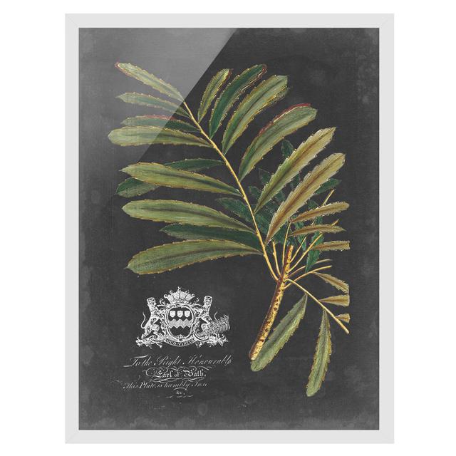 Vintage Royal Foliage on Black II - Picture Frame Graphic Art Rosalind Wheeler Size: 40cm H x 30cm W x 2cm D, Frame Option: White on Productcaster.