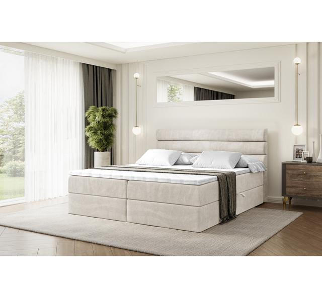 Boxspringbett Anquavious ModernMoments Farbe: Beige/Cremefarben, Größe: 140 cm x 200 cm on Productcaster.