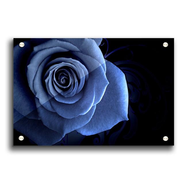 Blue Rose 2 Flowers - Unframed Photograph Print on Acrylic East Urban Home Size: 29.7cm H x 42cm W on Productcaster.