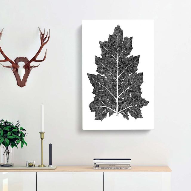 Illustration Of A Leaf by Owen Jones - Wrapped Canvas Print East Urban Home Size: 91cm H x 60cm W x 3cm D on Productcaster.