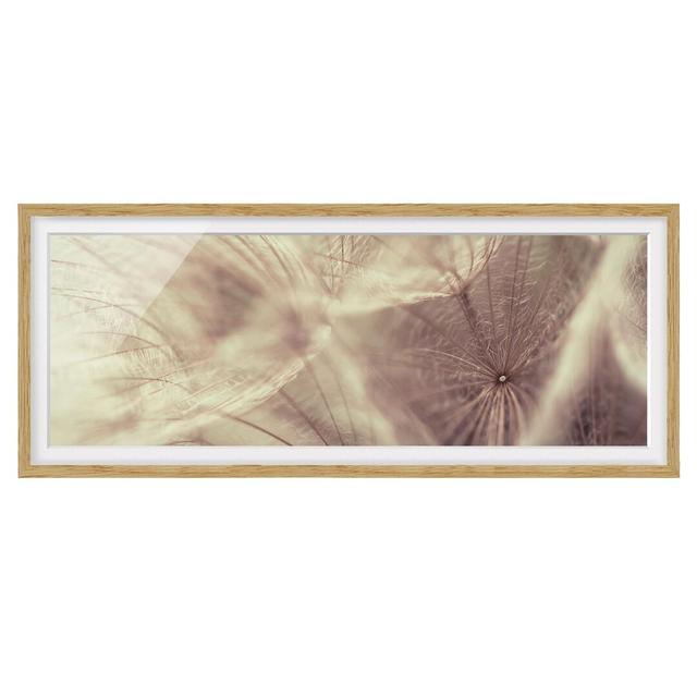 Detailed Dandelion Macro Shot with Vintage Blur Effect - Picture Frame Photograph Ophelia & Co. Size: 30cm H x 75cm W x 2cm D, Frame Option: Brown Fra on Productcaster.