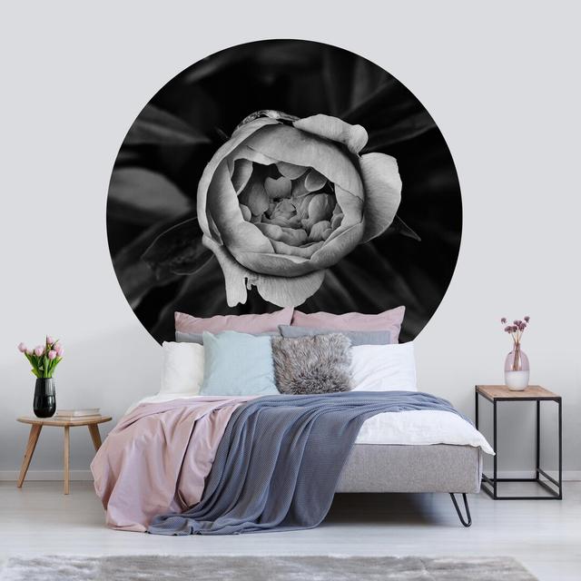 Jauss Matte Peel & Stick Mural Rosalind Wheeler Size: 150cm L x 150cm W on Productcaster.