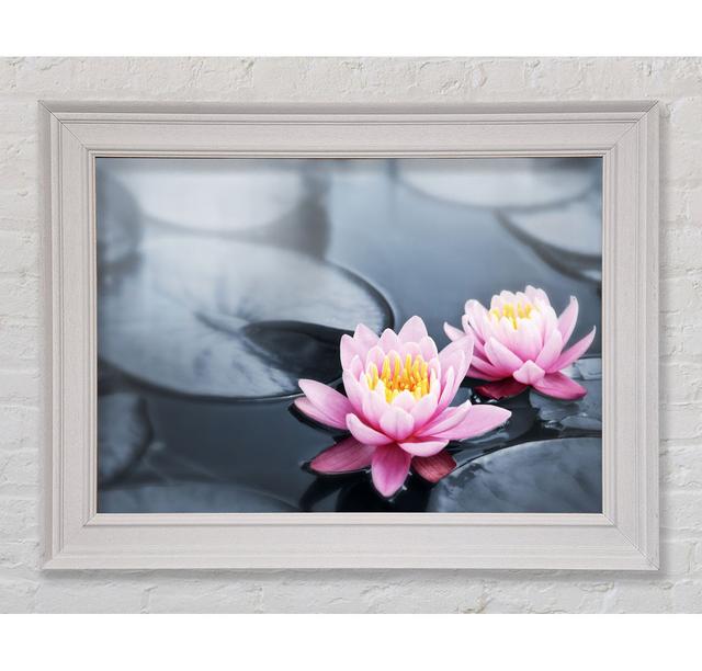 Flowers On The Water Floating - Single Picture Frame Art Prints Ebern Designs Size: 29.7cm H x 42cm W x 8cm D on Productcaster.