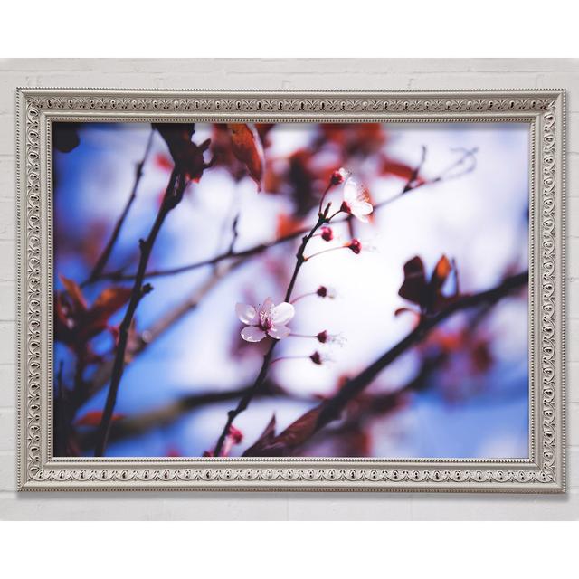 Tree Blossom Last Standing Framed Print Bright Star Size: 42cm H x 59.7cm W x 3cm D on Productcaster.