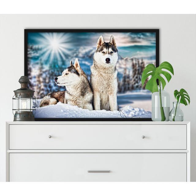 Gerahmter Fotodruck Zwei Wilde Huskies Alpen Home Größe: 80 cm H x 60 cm B x 2.5 cm T on Productcaster.