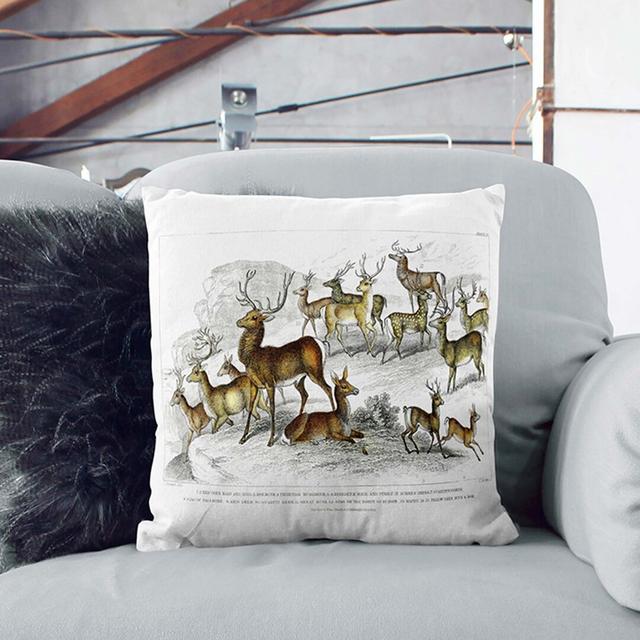 Deer's And Stags Square Throw Cushion East Urban Home Backing Colour: Stone, Size: 55cm H x 55cm W x 20cm D on Productcaster.