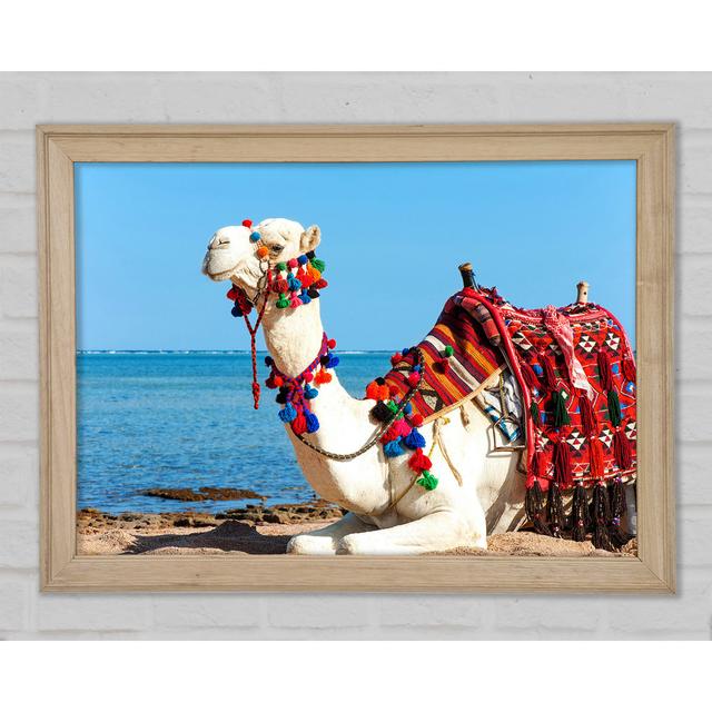 Camel Ride - Single Picture Frame Art Prints Bloomsbury Market Size: 59.7cm H x 84.1cm W x 1.5cm D on Productcaster.