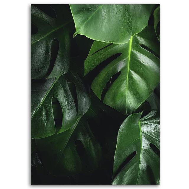 Leinwandbild Leaves in the Tropics Monstera Sansibar Home Größe: 70 cm H x 50 cm B on Productcaster.