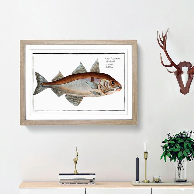 Haddock Fish by M.E. Bloch - Picture Frame Painting Print East Urban Home Frame Option: Oak Framed, Size: 36cm H x 48cm W x 2cm D on Productcaster.