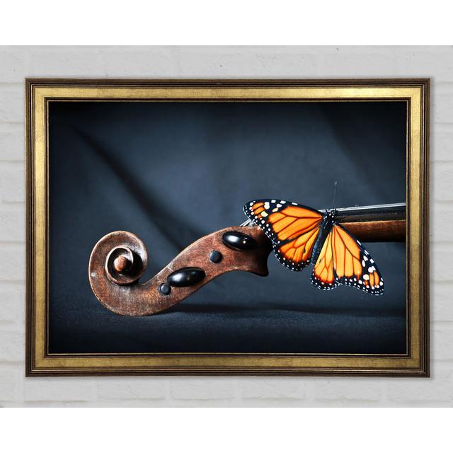 Butterfly Resting On Instrument - Single Picture Frame Art Prints August Grove Size: 21cm H x 29.7cm W x 1.5cm D on Productcaster.