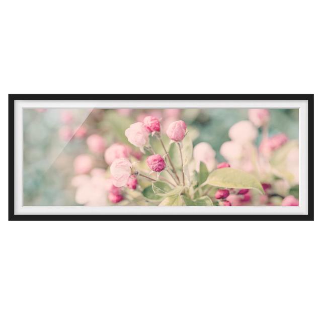 Apple Blossom Bokeh Pink - Picture Frame Graphic Art Ebern Designs Size: 50cm H x 130cm W x 2cm D, Frame Option: Black on Productcaster.