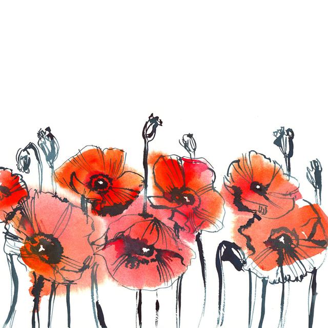 Akil Red Poppies on White Background - Wrapped Canvas Graphic Art ClassicLiving Size: 91cm H x 91cm W x 3.8cm D on Productcaster.