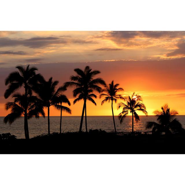 Hawaiian Sunset - Wrapped Canvas Print 17 Stories Size: 61cm H x 91cm W x 3.8cm D on Productcaster.