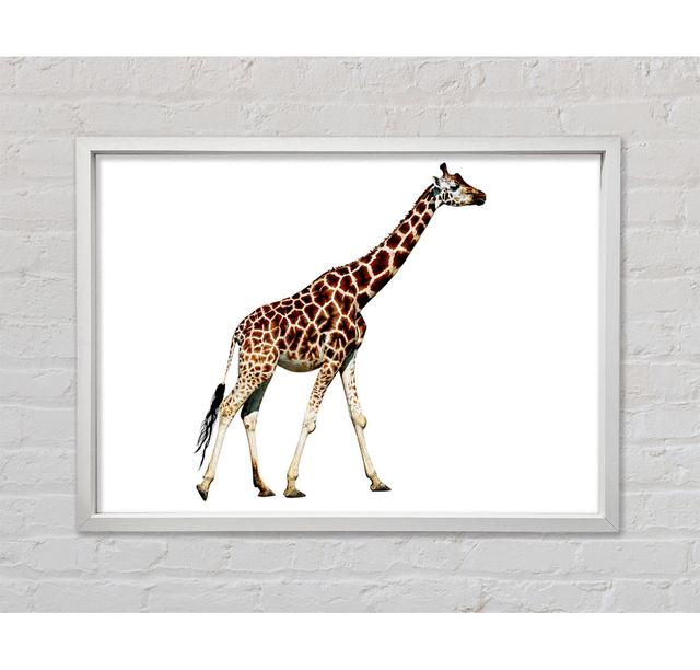 Giraffe Walk - Druck Bright Star Größe: 84,1 cm H x 118,9 cm B x 3,3 cm T on Productcaster.