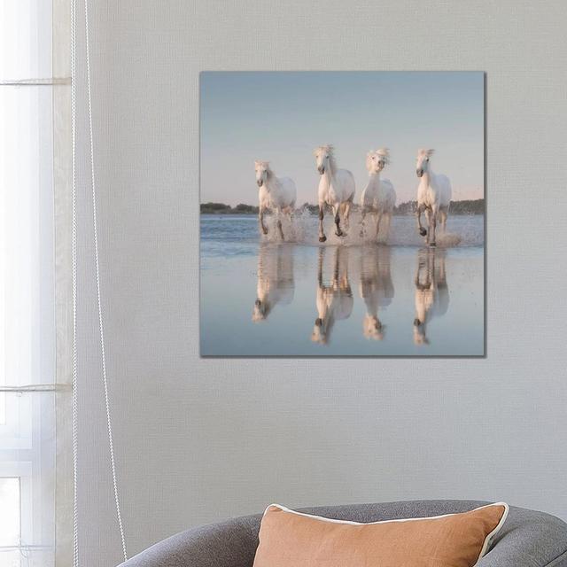 White Angels Of Camargue III by Daniel Kordan - Wrapped Canvas Print Brambly Cottage Size: 66.04cm H x 66.04cm W x 1.905cm D on Productcaster.