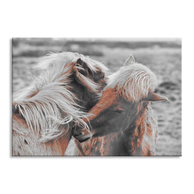 Icelandic Horse Pony - Unframed Photograph on Glass August Grove Size: 70cm H x 100cm W x 0.4cm D, Colour: Grey/Brown on Productcaster.