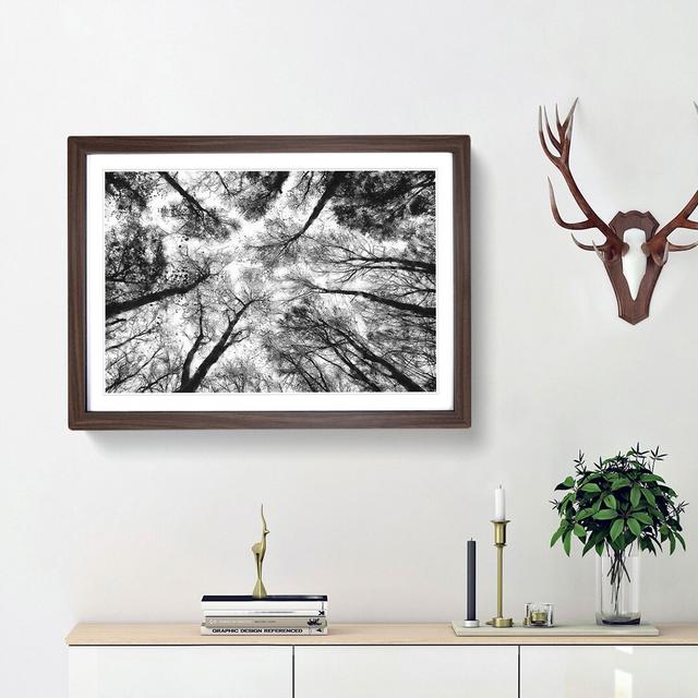 Vaulted Tree Branches - Picture Frame Painting Print East Urban Home Frame Option: Walnut Framed, Size: 24cm H x 33cm W x 2cm D on Productcaster.