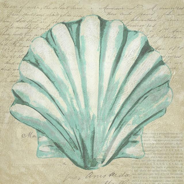 Seafoam Shell II by Chariklia Zarris - Wrapped Canvas Painting Highland Dunes Size: 30cm H x 30cm W on Productcaster.