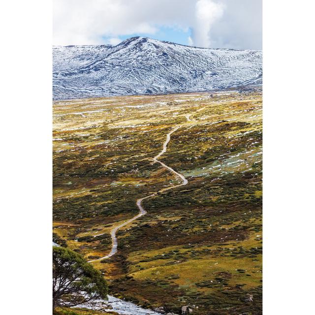 Mount Kosciuszko National Park - Drucken Alpen Home Größe: 30 cm H x 20 cm B x 1,8 cm T on Productcaster.