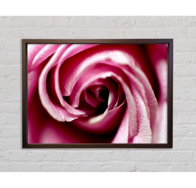 Rose Centre - Single Picture Frame Art Prints on Canvas Bright Star Size: 59.7cm H x 84.1cm W x 3.3cm D on Productcaster.