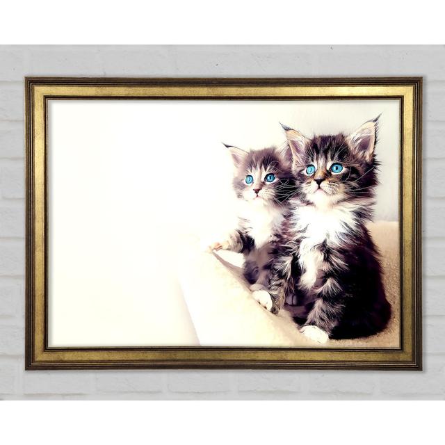 Cute Kittens - Single Picture Frame Art Prints Ebern Designs Size: 42.1cm H x 59.7cm W on Productcaster.