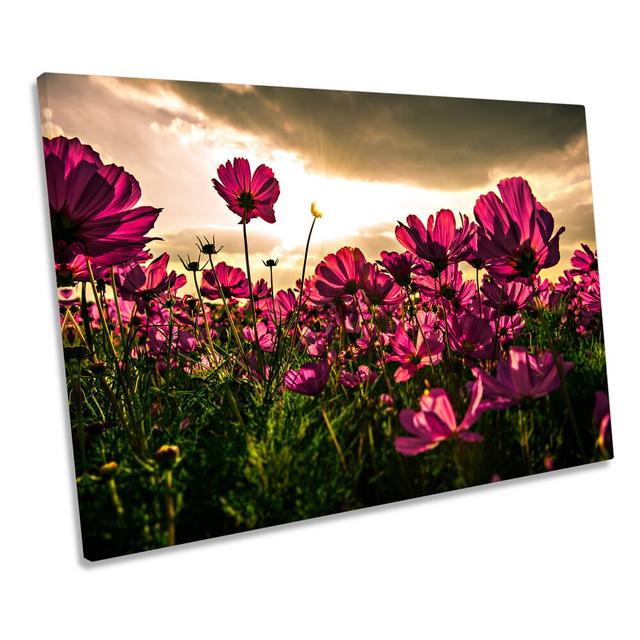 Flowers Sunset Floral Wrapped Canvas Art Print Ebern Designs Size: 81.3cm H x 121.9cm W on Productcaster.