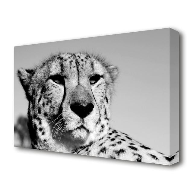 Cheetah Stare Wildlife - Wrapped Canvas Photographic Print East Urban Home Size: 101.6 cm H x 142.2 cm W x 4.4 cm D on Productcaster.