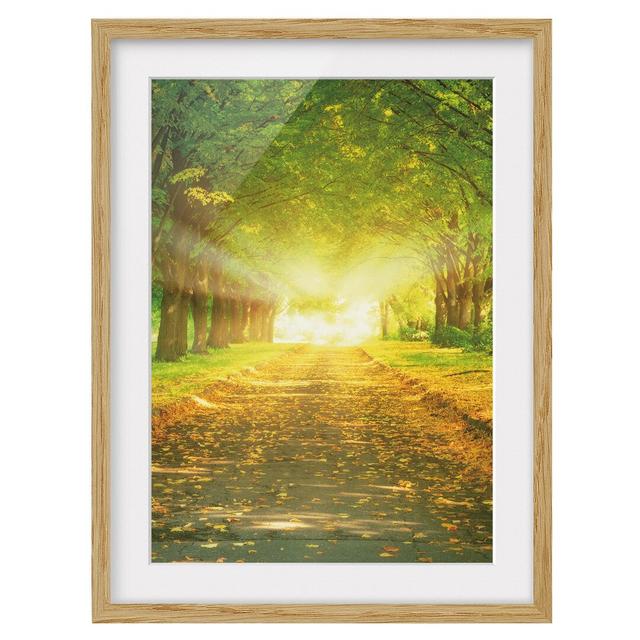 Autumn Avenue - Picture Frame Photograph Print on Paper East Urban Home Frame Options: Natural oak, Size: 70cm H x 50cm W on Productcaster.