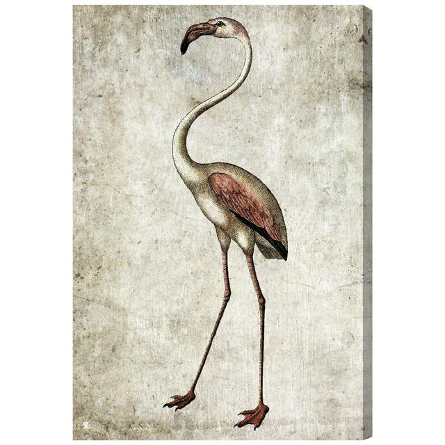 'Vintage Flamingo' Art Print Wrapped on Canvas Oliver Gal Size: 76cm H x 51cm W on Productcaster.