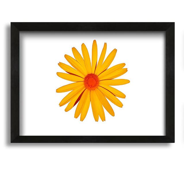 Yellow Daisy Face - Picture Frame Graphic Art on Canvas Brayden Studio Size: 42cm H x 60cm W x 10cm D on Productcaster.