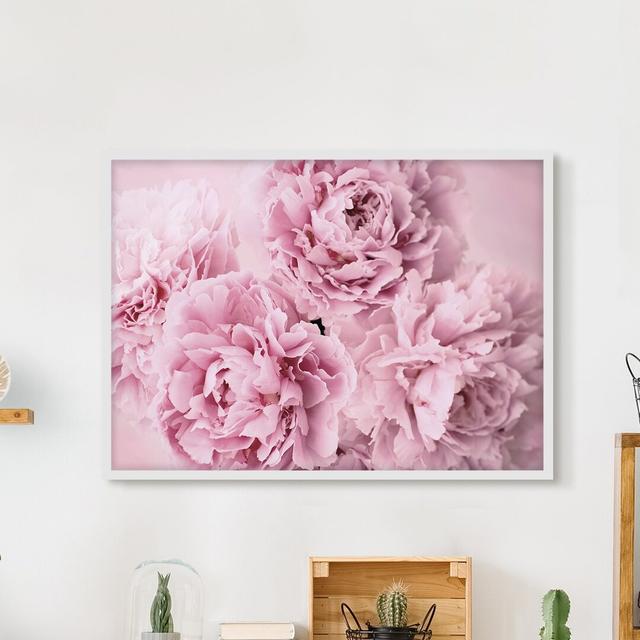 Pink Peonies - Single Picture Frame Print Rosdorf Park Size: 30cm H x 40cm W x 2cm D, Matte Colour: No Matte, Format: White Framed on Productcaster.